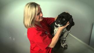Administering Ophthalmic Medication