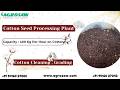 Cotton Seed Processing Plant | 400 Kg/Hour Capacity | Efficient & Reliable Solution by Agrosaw