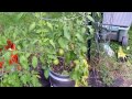 Beginning of video