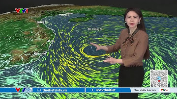 Dự báo thời tiết 12h30 - 29/11/2025 | Bão số 15 gây thời tiết rất xấu | VTVWDB