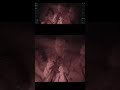 How The Batman made 3 hours feel short #batman #thebatman