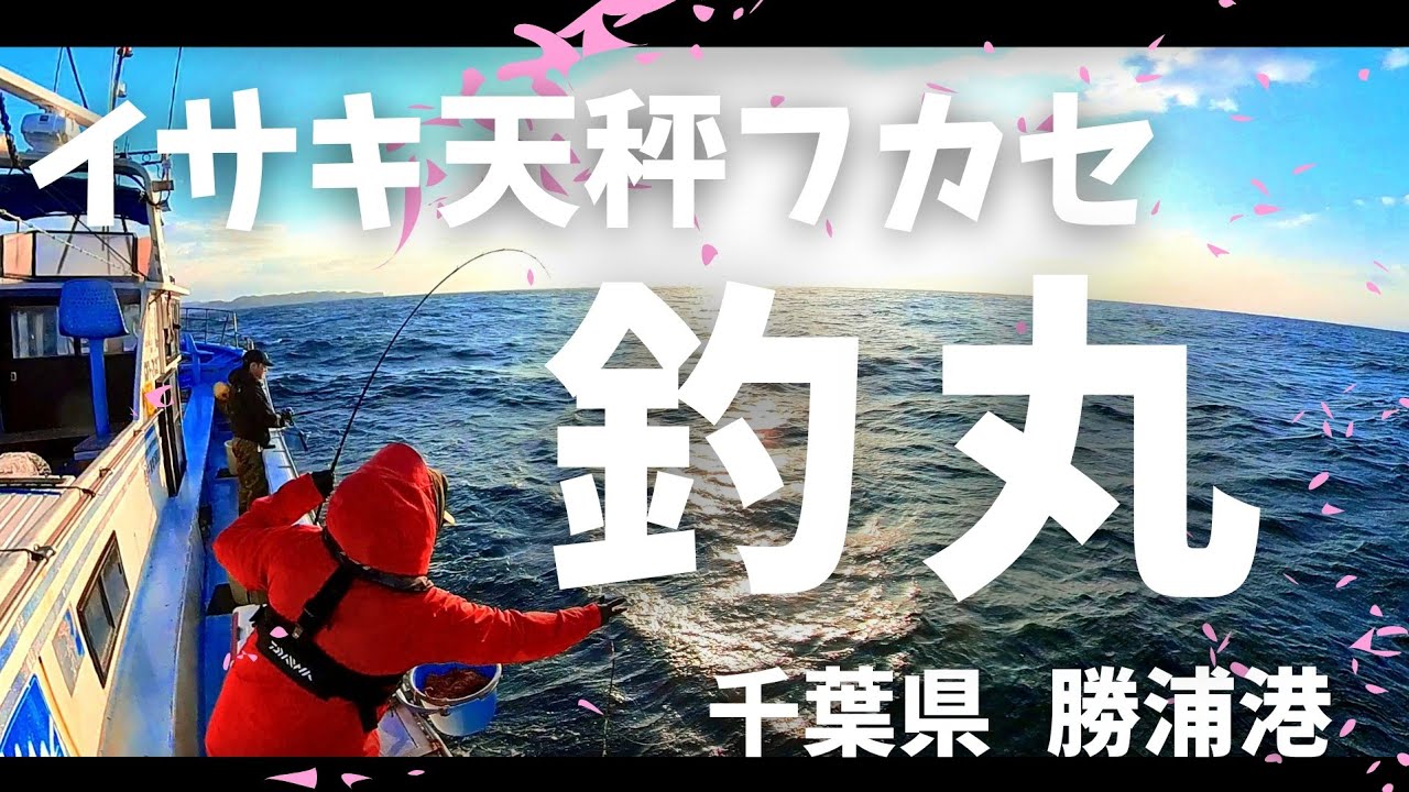 勝浦 釣り 丸