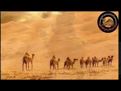 الشيخ ول آبه الهول القديم