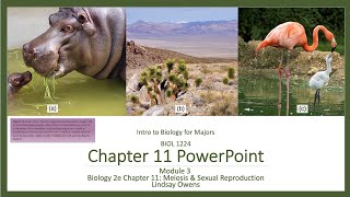 BIOL 1414 Chapter 11 PPT