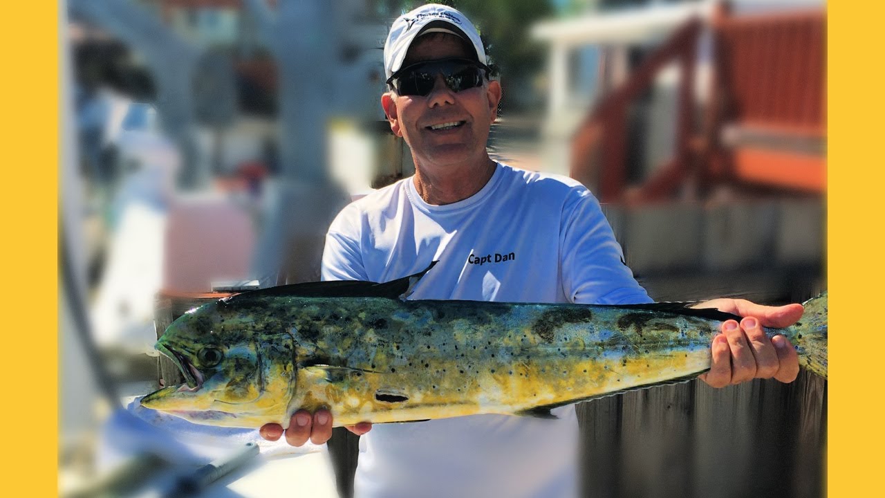 Winter MAHI in the Florida Keys