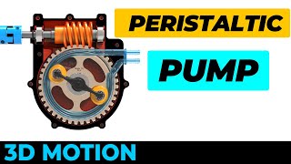 Peristaltic Pump - Motion