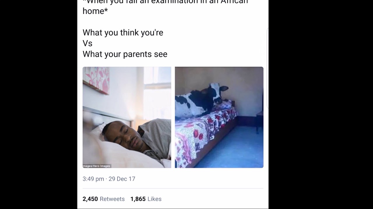 Twitter Funnies Week 5