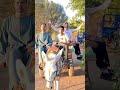Egypt daily routine village life #villagelife #Shorts @Bansibishnoi