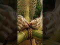 Chinese Bamboo Style Build#survival #bamboohouse #junglesurvival
