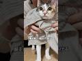 沼るモテ男になりたかったのに
