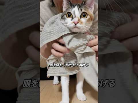 沼るモテ男になりたかったのに