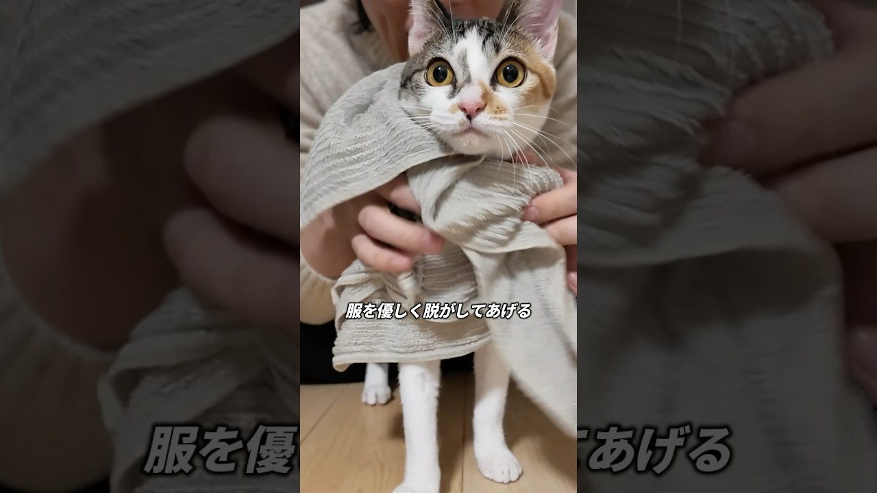沼るモテ男になりたかったのに
