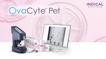 OvaCyte Pet Workflow