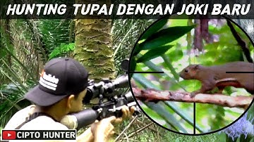 masih edisi bantu petani berburu tupai terbaru 2022 !! pest control tupai@CIPTOHUNTER