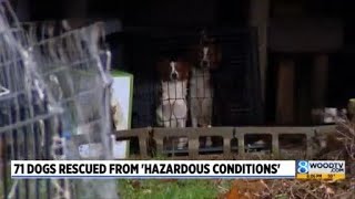 71 dogs rescued from home with 'hazardous conditions'