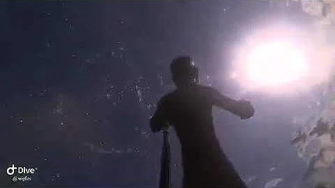 This guy is a free diver, scuba diver and tour guide