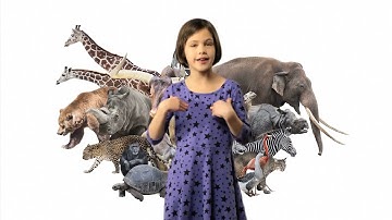 ASL Animals Song Lesson for Kids - Learn how to sign Animals with Fireese