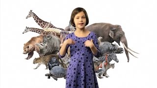 ASL Animals Song Lesson for Kids  Learn how to sign Animals with Fireese