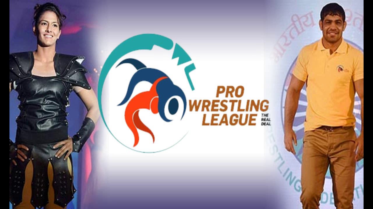 Pro wrestling league 2017