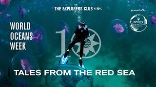 World Oceans Week 2026 - Tuesday - 7 PM