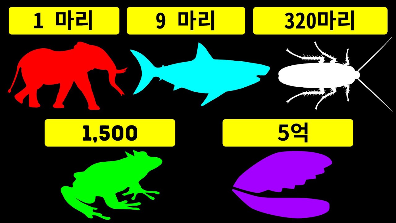 어느 동물이 한 번에 가장 많은 새끼를 낳을까요