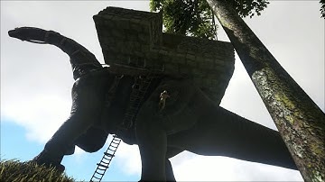 ARK/Bug Report/Ladder Glitches