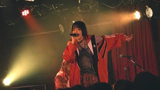 NEK! - Fool (Official Live Video)