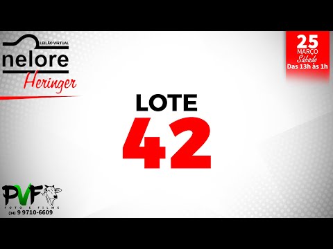 LOTE 42