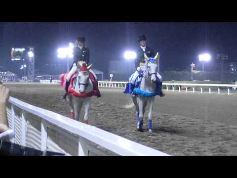 川崎競馬場　誘導馬　本馬場入場④　平成25年５月22日