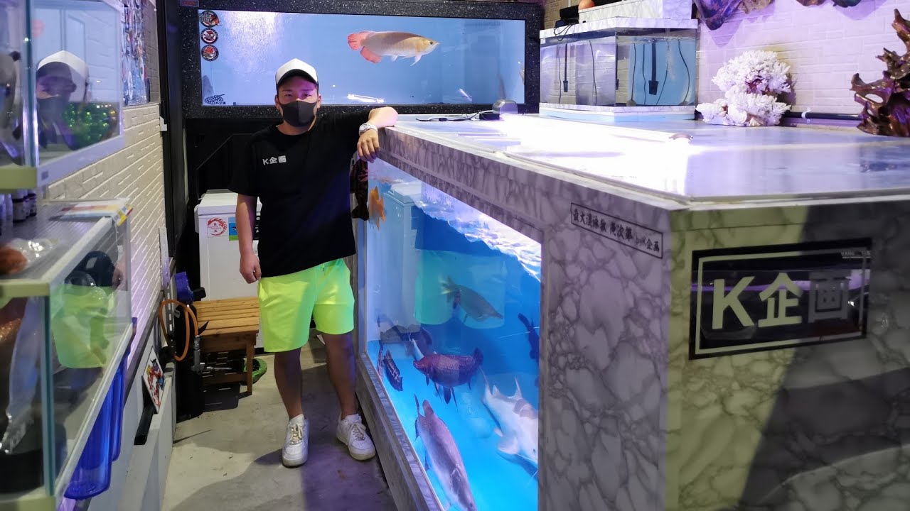大型魚飼育
アクリル水槽　1500×600×600 maxresdefault.jpg