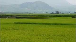 Kai Warner (Werner Last, Germany) - Eg seer deg ut for gluggjin / Midtsommervals