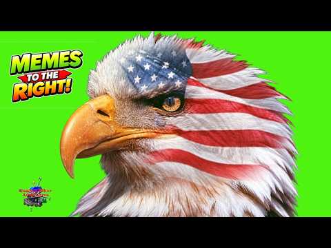 Were There Explosives Planted in The Twin Towers? Memes That Expose Everything