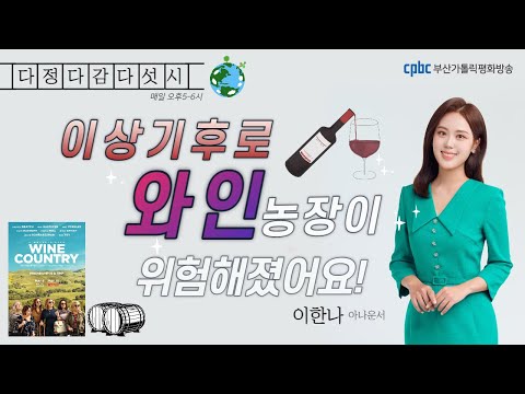 영상썸네일