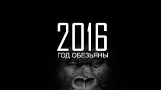 Новый год 2016 / year of the monkey