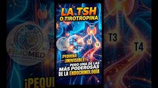 La HORMONA que revela ENFERMEDADES silenciosas | TSH
