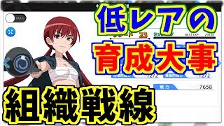 【とあるIF】組織戦線に向けてやっておくこと！【とある魔術の禁書目録】【幻想収束】【イマジナリーフェスト】【ゲーム実況】