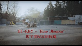 H1-KEY 하이키- 건물 사이에 피어난 장미 Rose Blossom_中譯歌詞 중국어 가사 번역