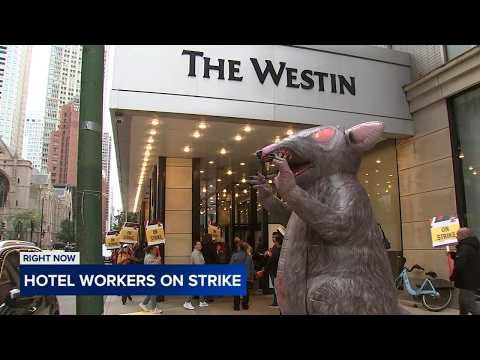 Downtown hotel employees go on strike ahead of Chicago Marathon