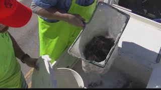 Here’s where trout are being stocked across Central Pa.