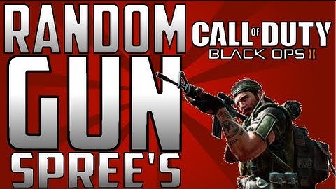 Black Ops 2: Random Gun Spree