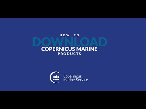 How to download Copernicus Marine Products?