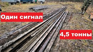 Концентрация металла зашкаливает! Один сигнал-4,5т.