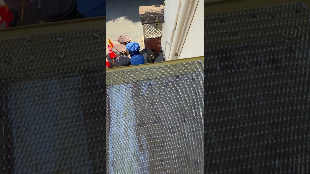 Diamond lap ready listonpara el tufflex.👍🏼