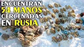 Impactante Hallazgo | Las 54 Manos encontradas en Rusia