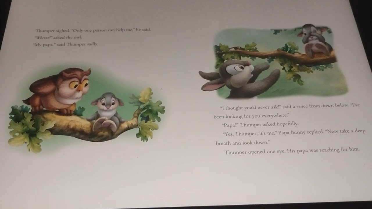 Bunnies A Day With Papa Disney StoryBook Collection Read Along 