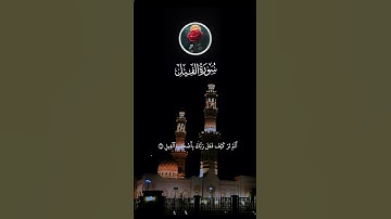 سورة الفيل تلاوة خاشعة تدخل القلب
