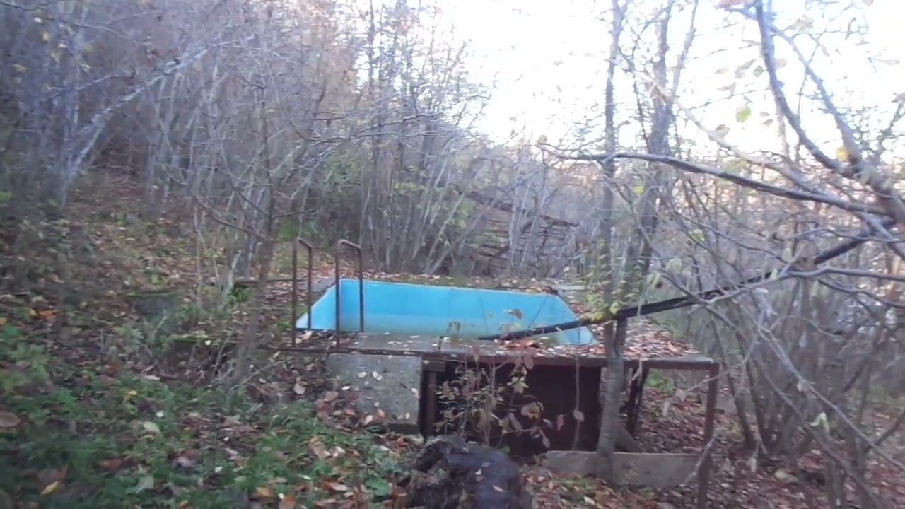 Дача агронома: 