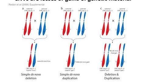 Copy Number Alterations