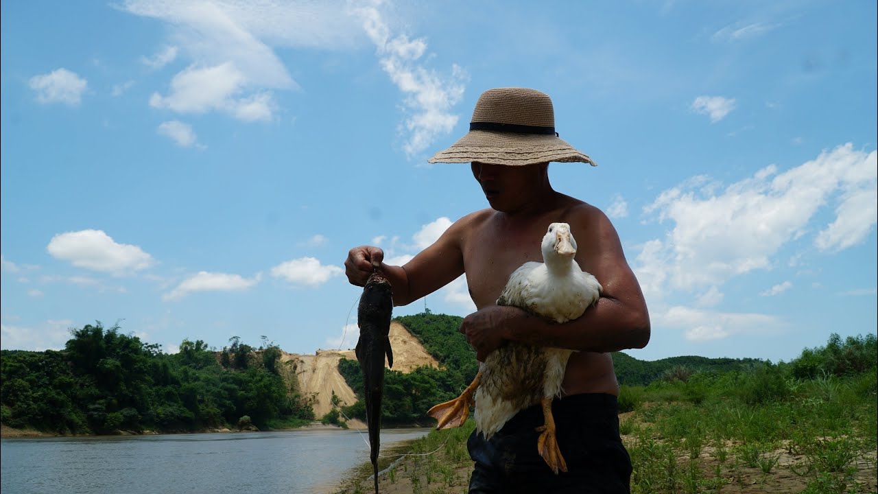 Fish Trap Skills /Super Duck Catching Fish - YouTube