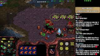 [1stBus] 즐거운 주말 즐겁게 같이 노실분? ^-^ 스타팀플 스타크래프트 헌터 팀플 Starcraft …